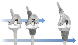 PANTHEUM Booklet KNEE 15x15 7